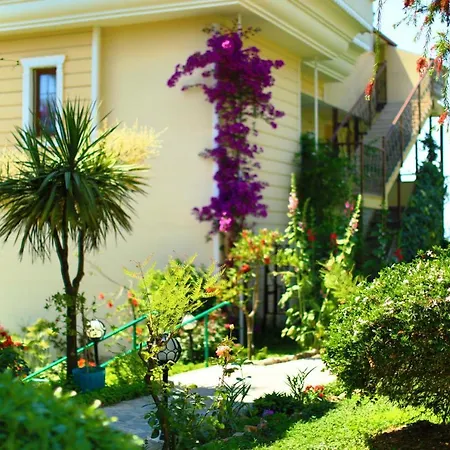 Hotel Yel