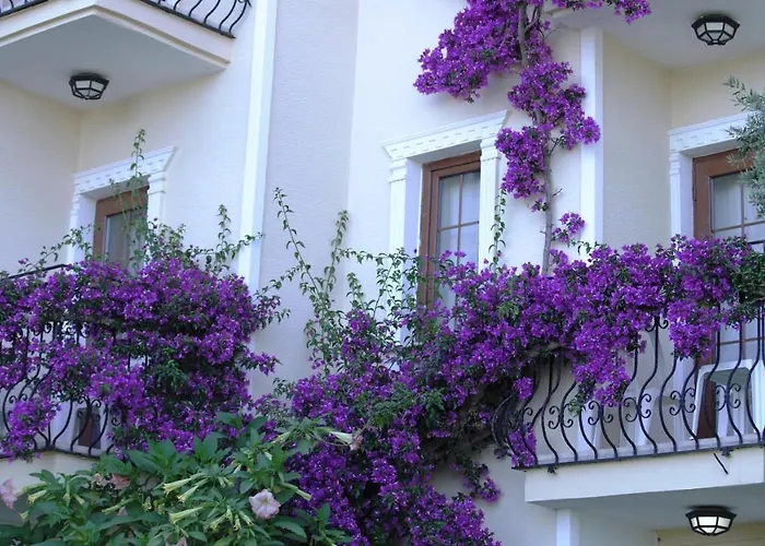 Yel 3* Oludeniz