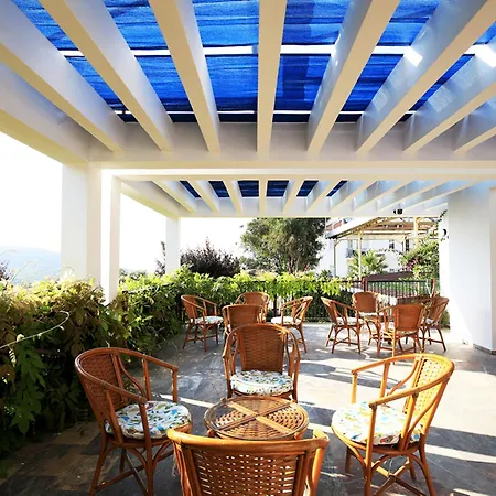 Yel 3* أولدينيس