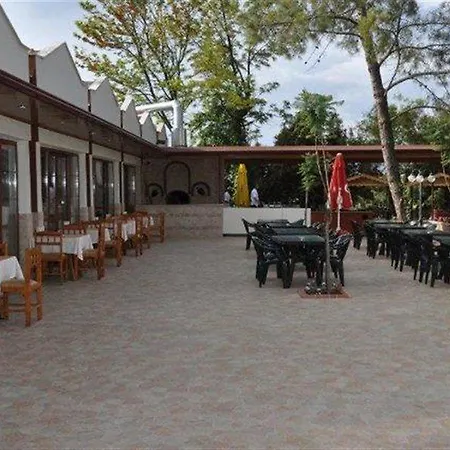 Yel أولدينيس